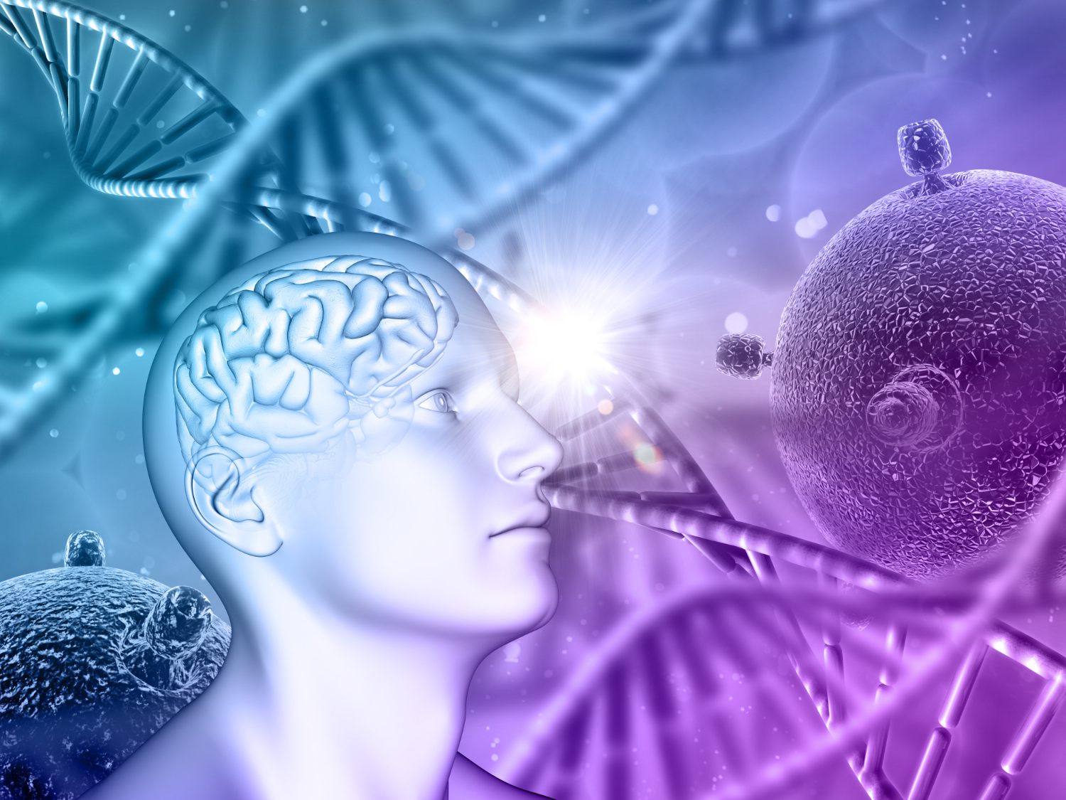 Representación 3D de un cerebros y los estrógenos que lo protegen - Clínica CellMedik
