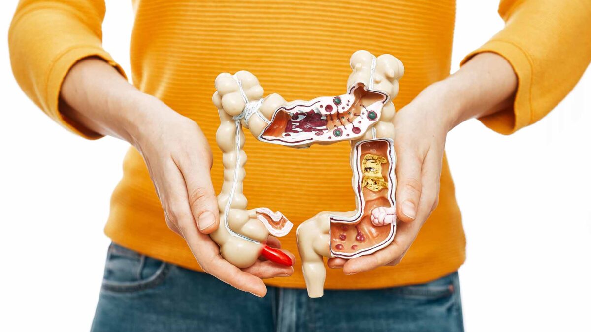 El-Eje-Cerebro-Intestino-Cómo-un-Nervio-el Vago-Controla-la-Inflamación-la-Digestión-y-el-Estrés