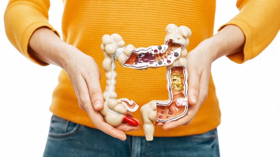 El-Eje-Cerebro-Intestino-Cómo-un-Nervio-el Vago-Controla-la-Inflamación-la-Digestión-y-el-Estrés