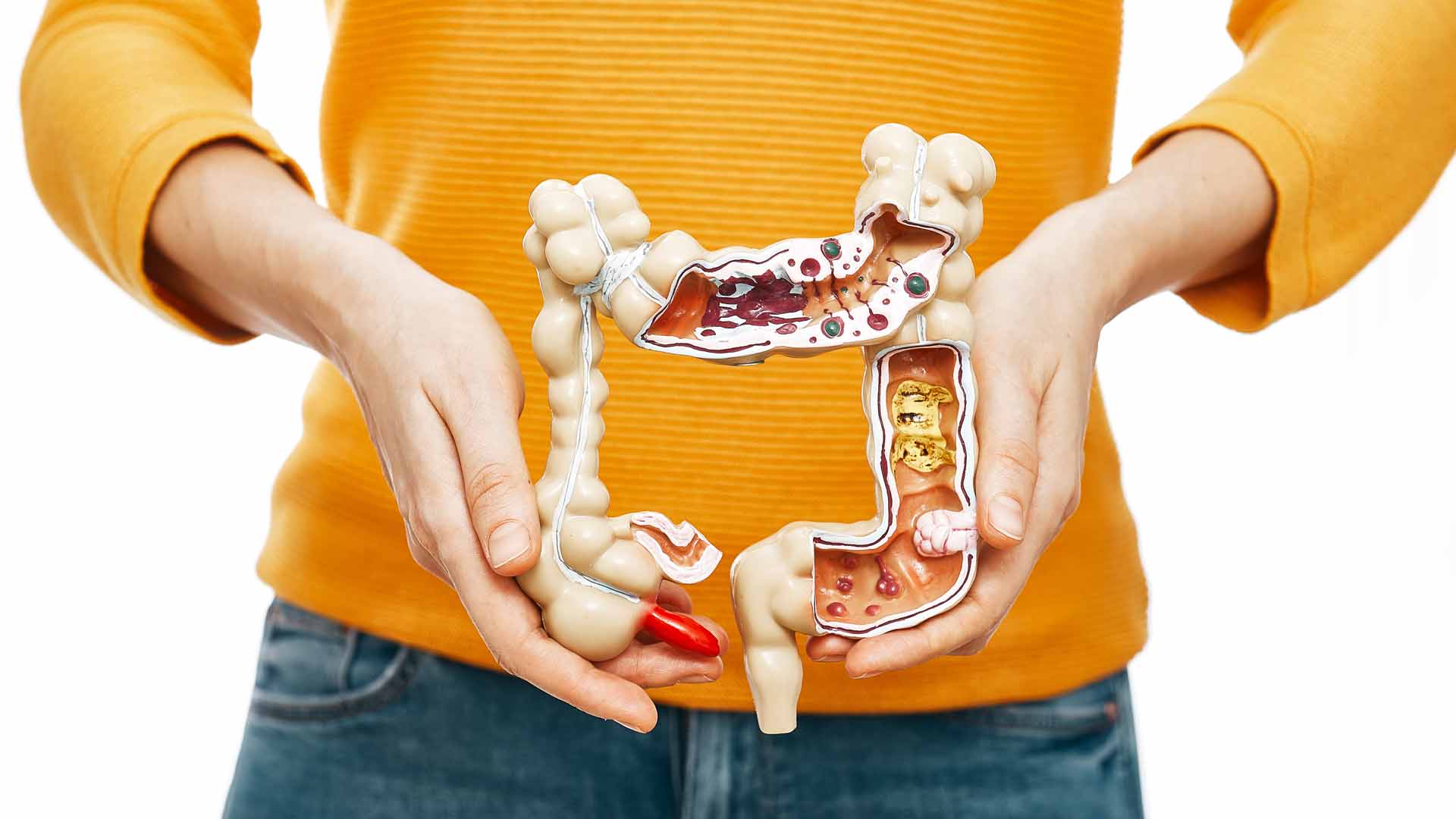 El-Eje-Cerebro-Intestino-Cómo-un-Nervio-el Vago-Controla-la-Inflamación-la-Digestión-y-el-Estrés