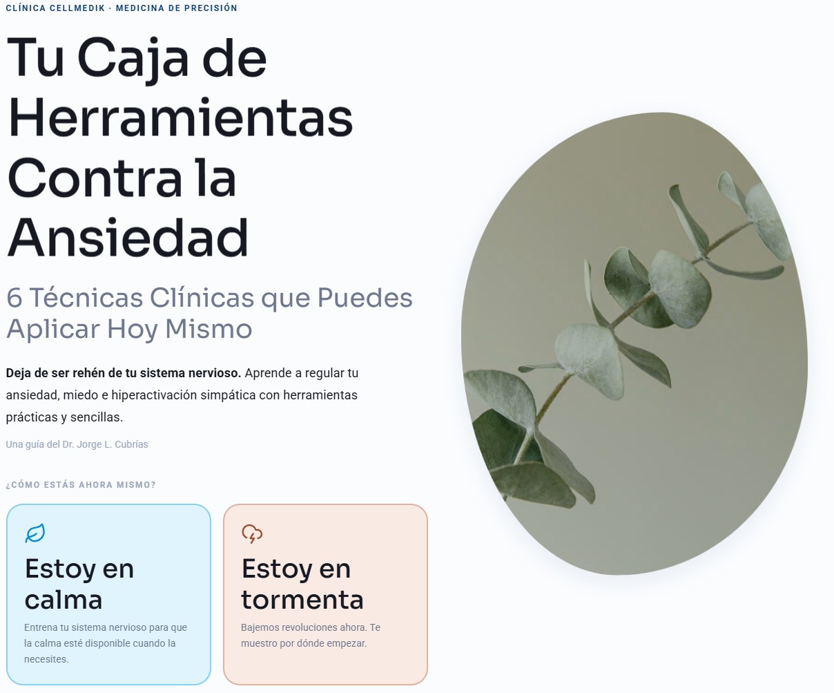 cajaherramientasansiedad